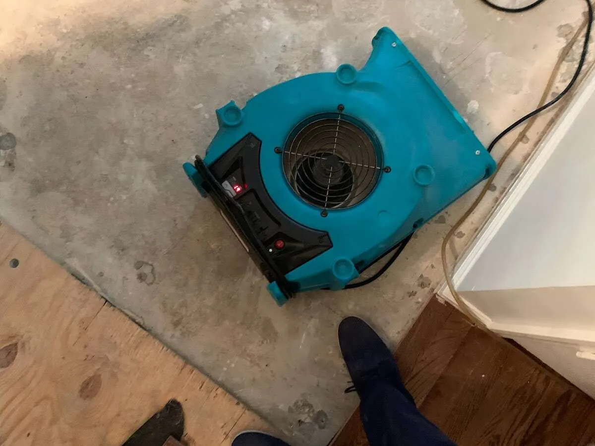 Air mover drying subfloor during Commercial Water Damage Restoration in Longmont